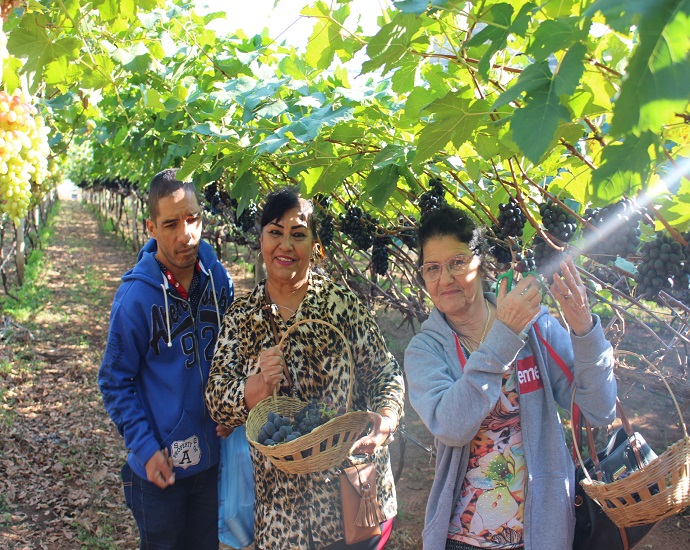 VISITAS: Produtores abrem suas propriedades para a temporada de turismo rural em Jales