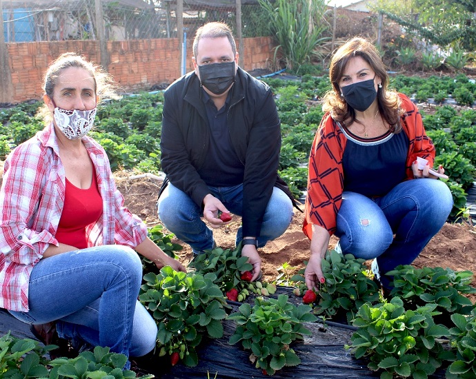 VAMOS VISITAR: Produtores de Jales abrem as porteiras das suas propriedades para temporada de turismo rural