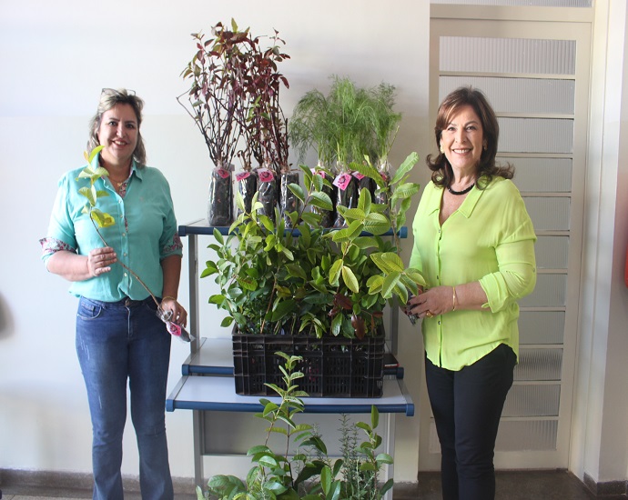 HOMENAGEM: Mudas de plantas frutíferas e medicinais são distribuídas na Prefeitura Municipal em homenagem ao Dia das Mães