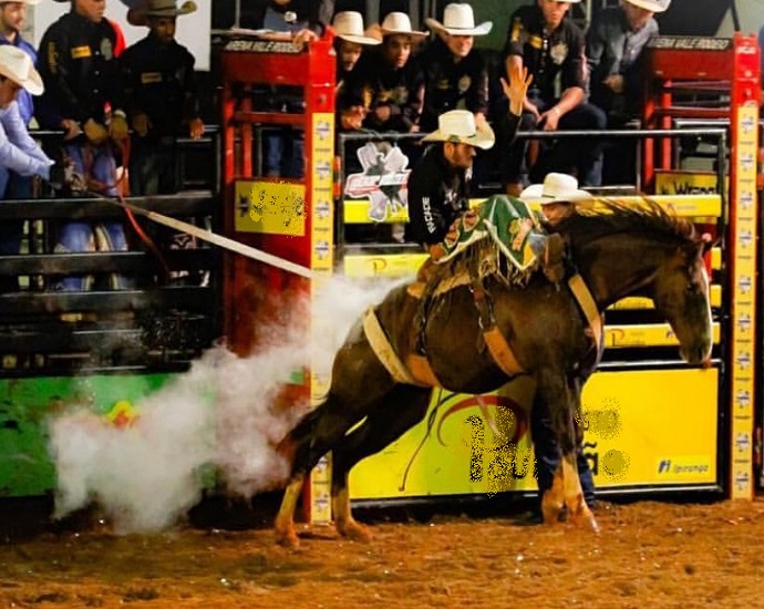 PULA BOI, PULA CAVALO: Country Bulls resgatará tradição das montarias em cavalos